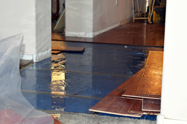 Professional Water Extraction technician working in La Cygne, KS